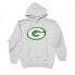 Mitchell & Ness Team Logo Hoody Green Bay Pacers M HDSSINTL1052-GBPGREY