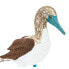 SAFARI LTD Blue Footed Booby Figure