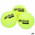 Фото #1 товара Теннисные мячи Aktive 3 предмета жёлтый 12 штук