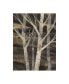 Фото #1 товара Albena Hristova Silver Trees I Canvas Art - 36.5" x 48"