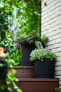 Фото #2 товара Keter Zestaw doniczek Curver CYLINDER PLANTERS S+M+L Brązowy