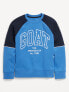 Фото #2 товара Dynamic Fleece Color Block Graphic Sweatshirt for Boys