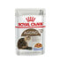 Фото #1 товара Корм для котов Royal Canin FHN Ageing 12+ Мясо 12 x 85 g