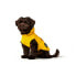 Dog Coat Hunter Milford Yellow 30 cm