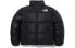 Куртка THE NORTH FACE Logo NJ3NP55A