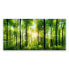 Glasbild Wald Natur