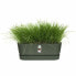 Фото #4 товара Ящик для цветов Elho Planter 50 см зеленый пластик.