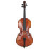 Фото #2 товара Walter Mahr Cello Stradivari Ash Wood 4/4