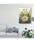 Lois Bryan Spring Daisies Canvas Art - 20" x 25"