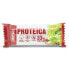 Фото #1 товара NUTRISPORT 33% Protein 44gr Protein Bar Yogurt&Apple Pie 1 Unit