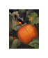 Фото #1 товара Marcia Matcham Oriole and Pumpkin Canvas Art - 20" x 25"