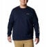 Фото #2 товара COLUMBIA Trek™ sweatshirt