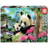 Фото #3 товара Puzzle Panda 1000 inklusive Kleber