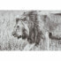 Картина DKD Home Decor 92,5 x 3,5 x 32 cm Колониальный Джунгли (3 Предметы)