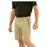 SALEWA Puez Talveno DST Shorts