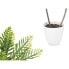 Decorative Plant Palm tree Plastic 36 x 55,5 x 24 cm (6 Units)