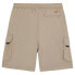 Фото #4 товара DICKIES Jackson cargo shorts