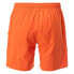 Фото #2 товара AQUAWAVE Aguario Shorts