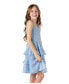 ფოტო #4 პროდუქტის Big Girls Open Back Eyelet Dress