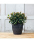 Manufacturing 03128 Round Dolce Flower Pot/Planter, Black, 12"