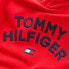 Фото #3 товара TOMMY HILFIGER Flag hoodie