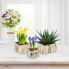 Фото #3 товара Аксессуары для цветов Relaxdays Настольные горшки в комплекте из 3 шт.