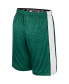 ფოტო #3 პროდუქტის Big Boys Green Michigan State Spartans Creative Control Shorts