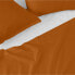 Top sheet HappyFriday Basic Terracotta 240 x 270 cm