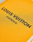 Фото #9 товара Книга с подиумами Louis Vuitton