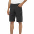 Men's Sports Shorts Salomon Wayfarer 37636 Moutain Black