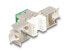 Delock Keystone Modul RJ45 Buchse zu LSA Cat.6A werkzeugfrei grün Set 10