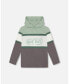 Фото #1 товара Toddler Boys Raglan Hooded T-Shirt Green And Dark Gray - Toddler|Child