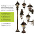 Фото #8 товара Уличный светильник Easylight Wandlampe SALZBURG