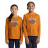 ფოტო #2 პროდუქტის CRAGHOPPERS Colly long sleeve T-shirt