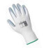 OFFICINE PAROLIN 12PCS Box gloves
