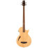 Фото #1 товара ESP LTD TL-4 Natural