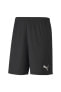 Teamgoal 23 Knit Shorts Erkek Futbol Maç Şortu 70426203 Siyah