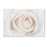 Фото #1 товара Cora Niele 'White Rose' Canvas Art, 12" x 19"