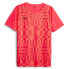 ფოტო #1 პროდუქტის PUMA Individual Rise short sleeve T-shirt