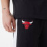 Фото #4 товара NEW ERA Chicago Bulls NBA Large Graphic joggers