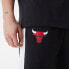 Фото #5 товара NEW ERA Chicago Bulls NBA Large Graphic joggers