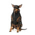 ფოტო #21 პროდუქტის FUZZYARD Ivanhoe Dog Jacket