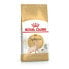 Cat food Royal Canin Sphynx Adult Chicken Pig 2 Kg