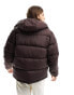 Фото #4 товара The North Face Heritage '71 Sierra down puffer jacket in brown