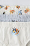 2-6 YEARS/ PACK OF THREE BLUEY © LUDO STUDIO BRIEFS