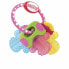 Фото #1 товара Прорезыватель для зуб ребенка Nûby Разноцветный ключи