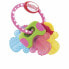 Teether for Babies Nûby Multicolour Keys