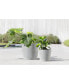 Eco pots Amsterdam Modern Round Indoor and Outdoor Planter, 10in