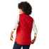 Фото #3 товара REGATTA Courcelle Vest