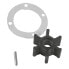 TALAMEX 17200121 Neoprene Inboard Impeller Pin Drive With Gasket&Pin